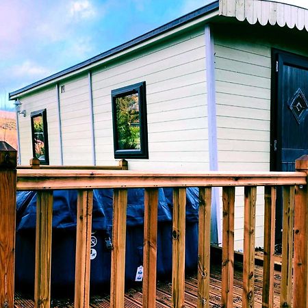 Riverview Lodges And Glamping Уэлшпул Экстерьер фото